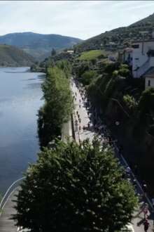 "A mais bela corrida do mundo" vai ser visitada por 71 países. Meia Maratona do Douro Vinhateiro acolhe mais de 20 mil participantes